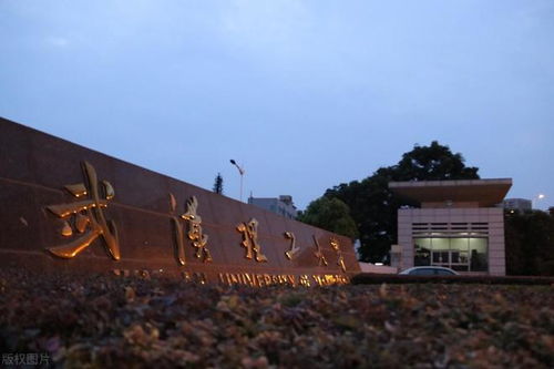 中國最厲害的一座城市,有86所大學(xué),其中軍校3所,大學(xué)生上百萬