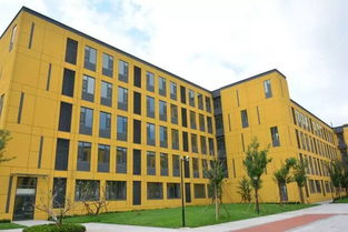 孩子愛上學校的n種理由 經五教育集團泉澤校區開學季